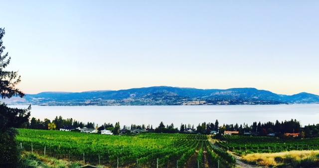 Summerhill Estate House Bed & Breakfast Kelowna Luaran gambar