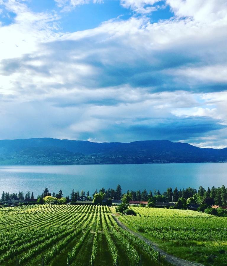 Summerhill Estate House Bed & Breakfast Kelowna Luaran gambar